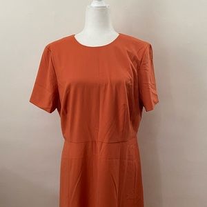 Ann Taylor | NWT Peach A-Line Dress